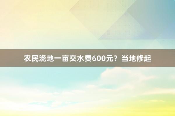 农民浇地一亩交水费600元？当地修起