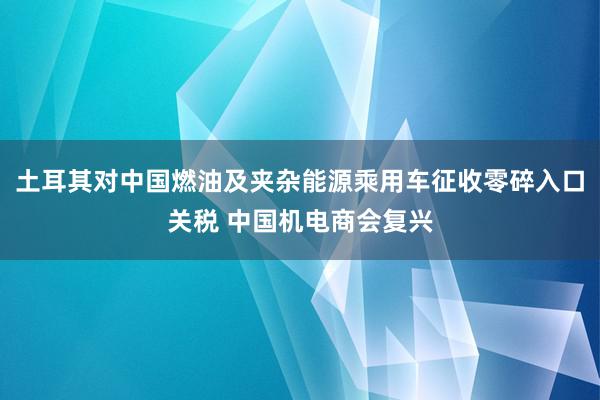 土耳其对中国燃油及夹杂能源乘用车征收零碎入口关税 中国机电商会复兴