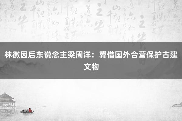 林徽因后东说念主梁周洋：冀借国外合营保护古建文物