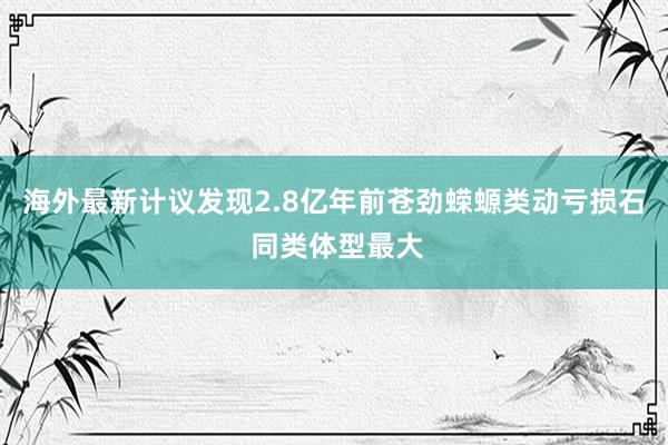 海外最新计议发现2.8亿年前苍劲蝾螈类动亏损石 同类体型最大