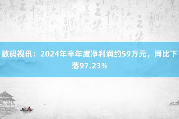 数码视讯：2024年半年度净利润约59万元，同比下落97.23%