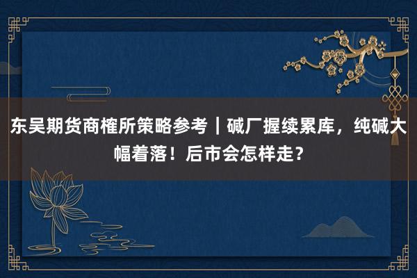 东吴期货商榷所策略参考｜碱厂握续累库，纯碱大幅着落！后市会怎样走？