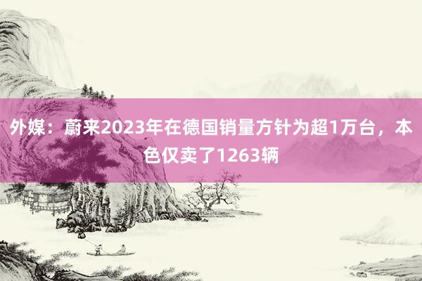 外媒：蔚来2023年在德国销量方针为超1万台，本色仅卖了1263辆